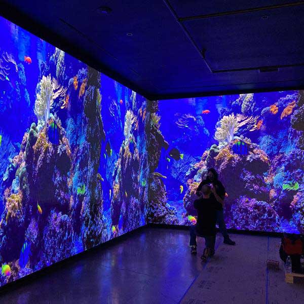Micro-LED-Video-Walls-for-Attractions